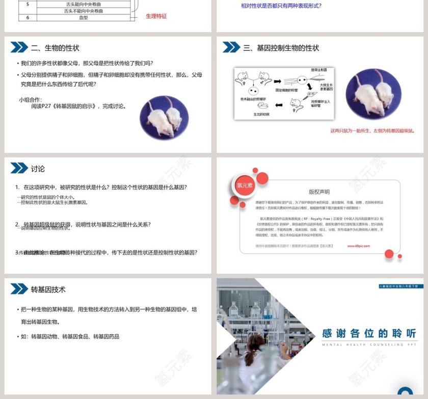人教版初中生物八年级下册教学ppt课件第4张