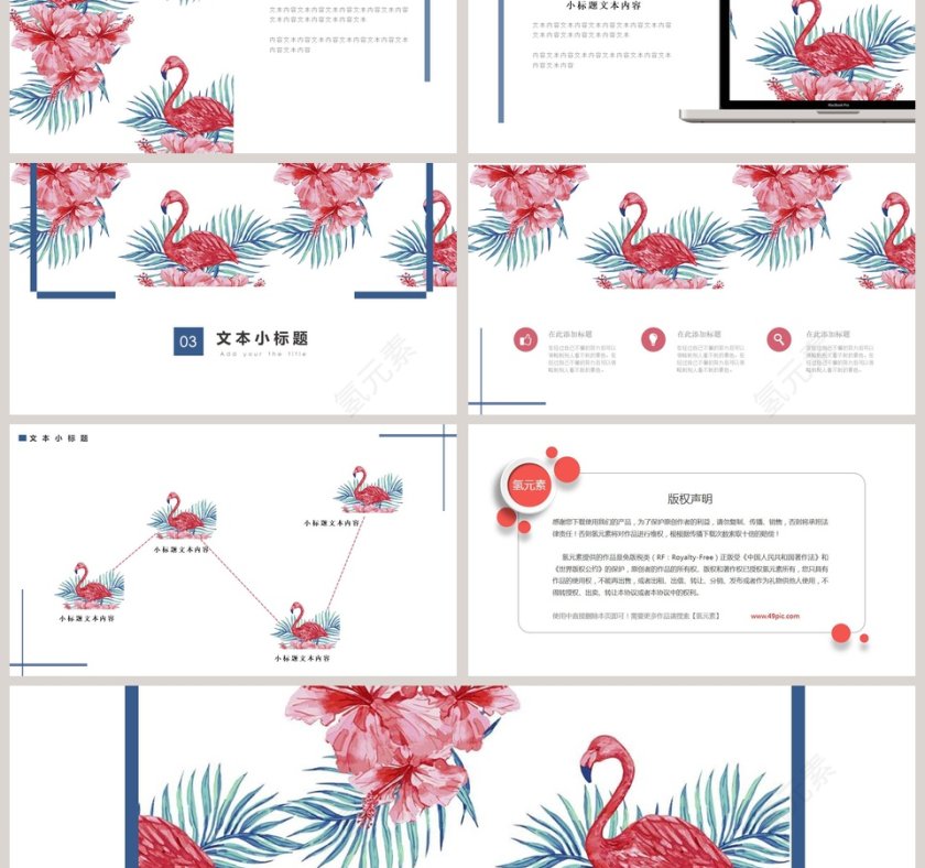 火烈鸟主题PPT第3张