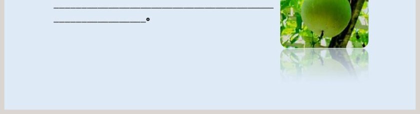 人教版二年级语文我要的是葫芦语文课件PPT第5张