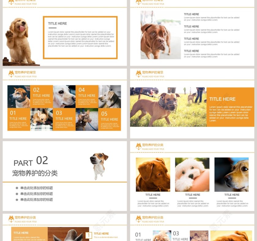 宠物背景宠物养护医疗PPT模版第2张