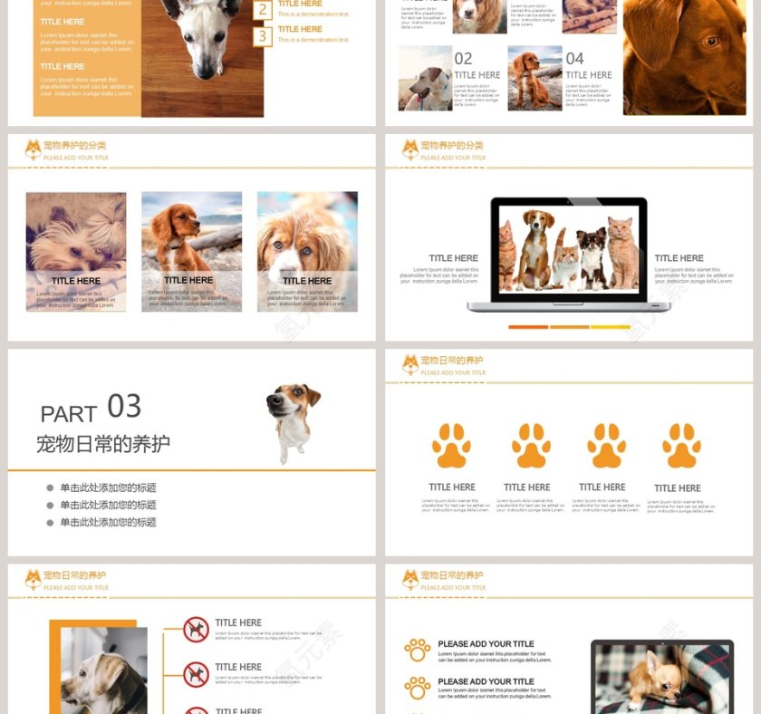 宠物背景宠物养护医疗PPT模版第3张