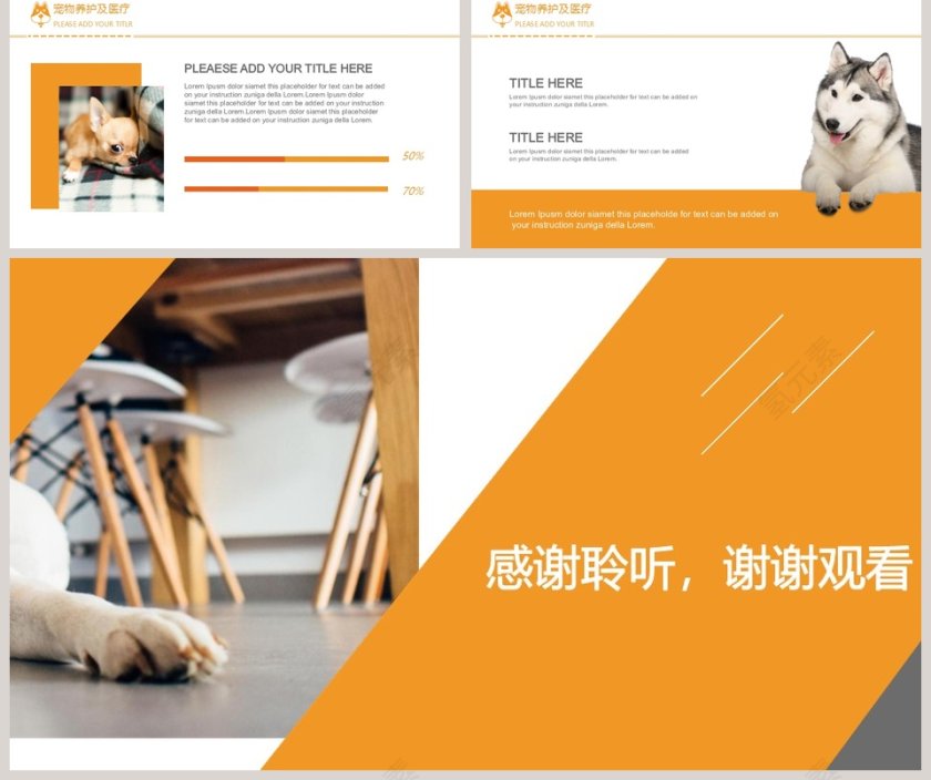 宠物背景宠物养护医疗PPT模版第5张