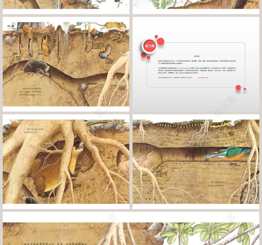 地底下的动物幼儿绘本教育课件第4张