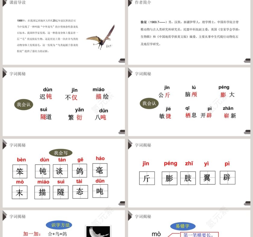 部编版四年级语文下册飞向蓝天的恐龙PPT课件第2张