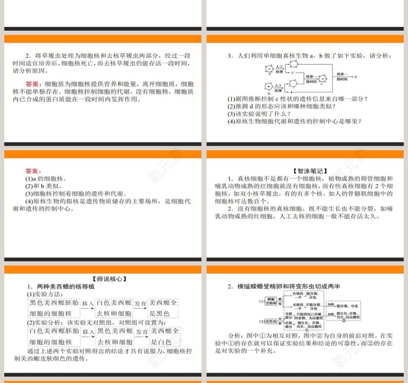 第-3教学ppt课件第4张