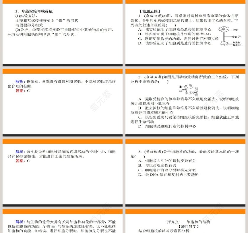 第-3教学ppt课件第5张