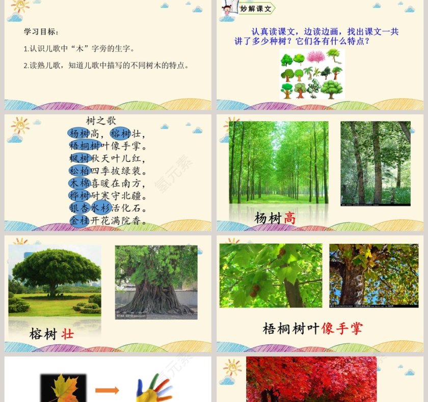 课文解析树之歌语文课件PPT第2张