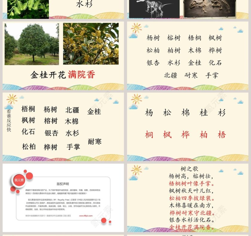 课文解析树之歌语文课件PPT第4张