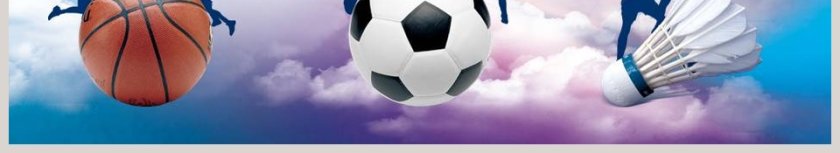 体育竞技运动会健身锻炼通用PPT第6张