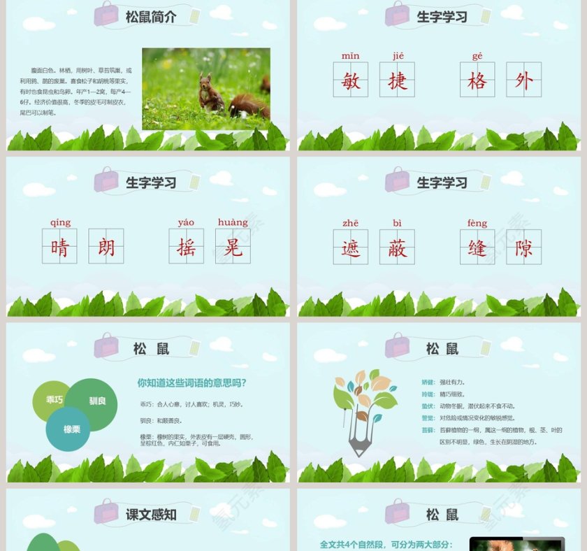 课文解析松鼠语文课件PPT第2张