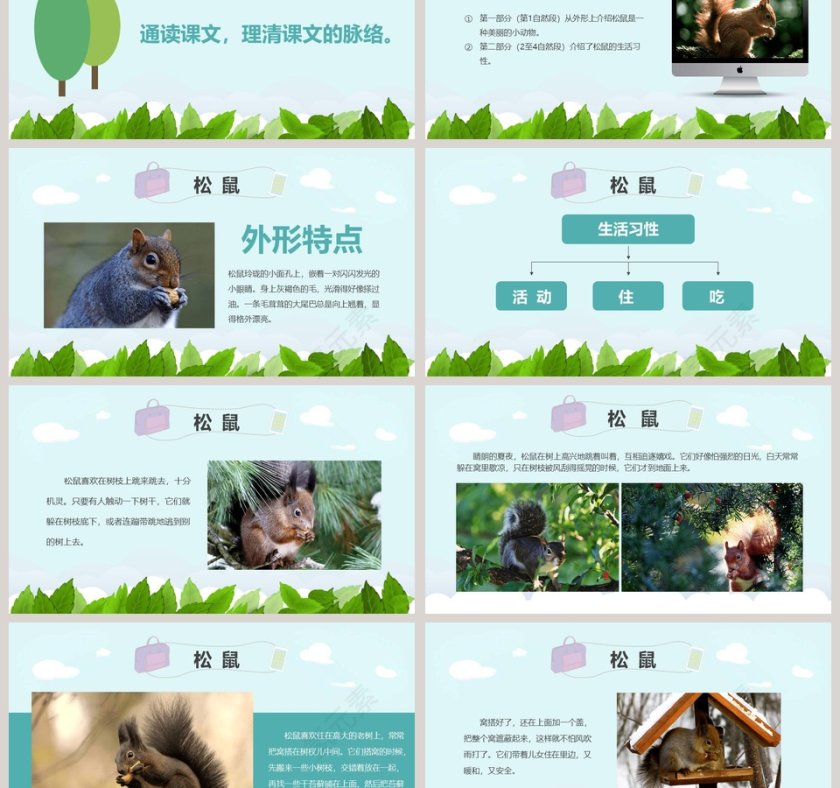 课文解析松鼠语文课件PPT第3张