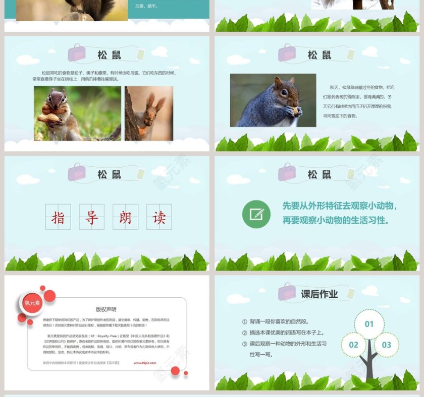 课文解析松鼠语文课件PPT第4张