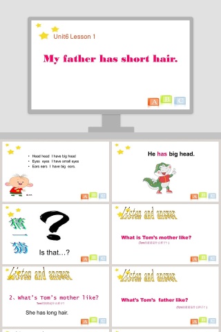 Unit6 Lesson 1-My father has short hair教学ppt课件