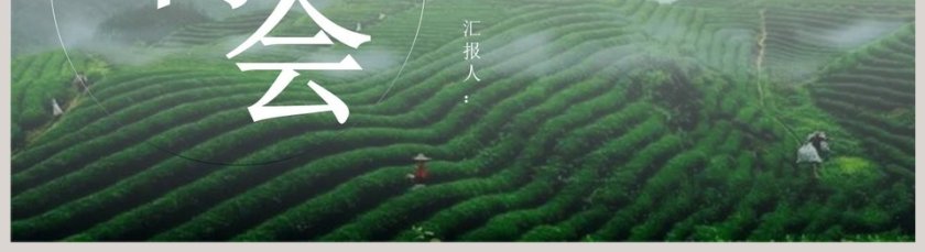简约大气清新茶乡茶文化PPT第5张