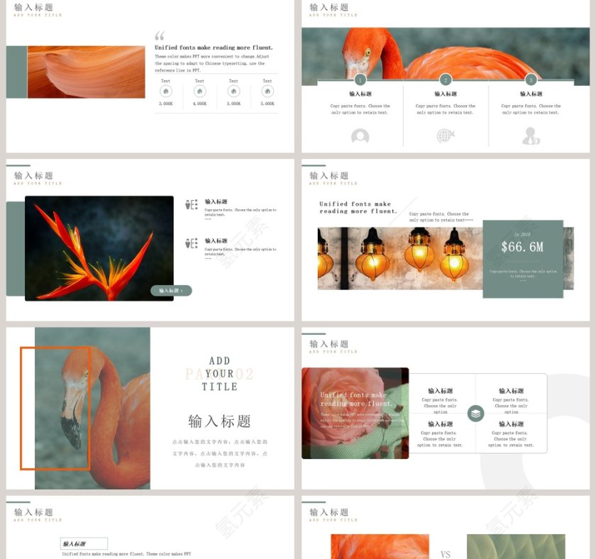 植物系文艺范工作概述PPT 第2张