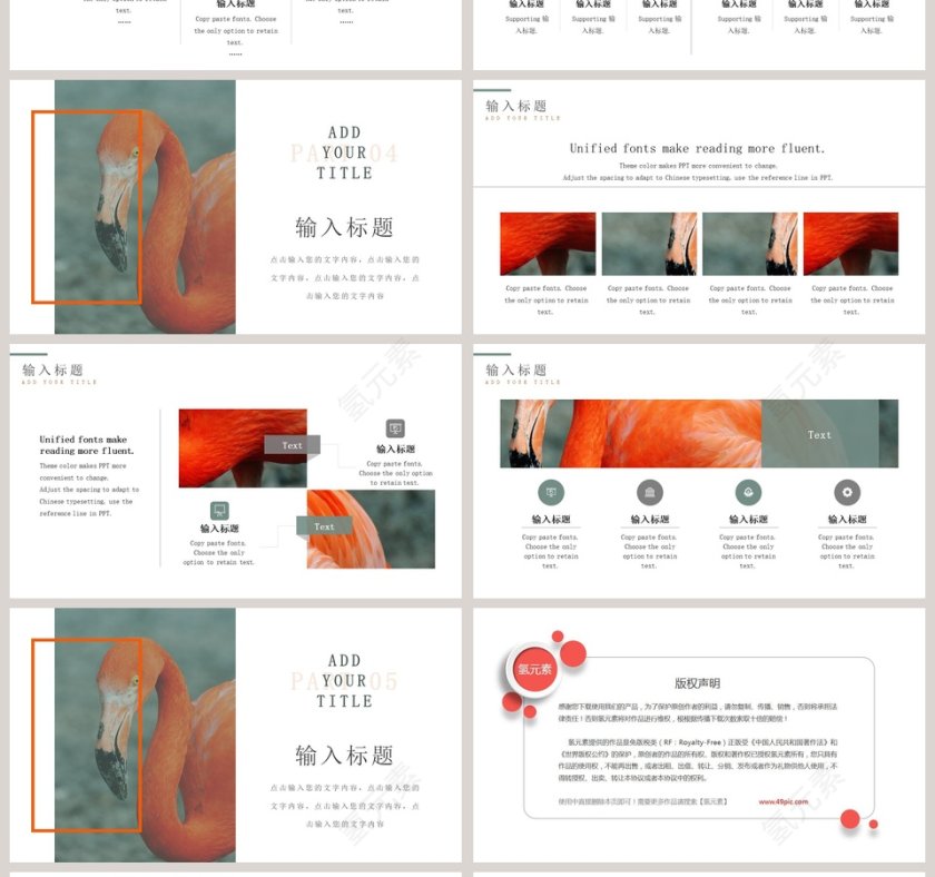 植物系文艺范工作概述PPT 第4张