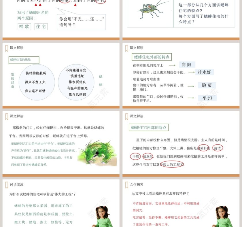 教学ppt课件第3张