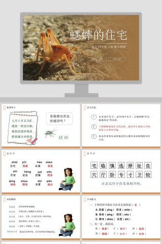 教学ppt课件