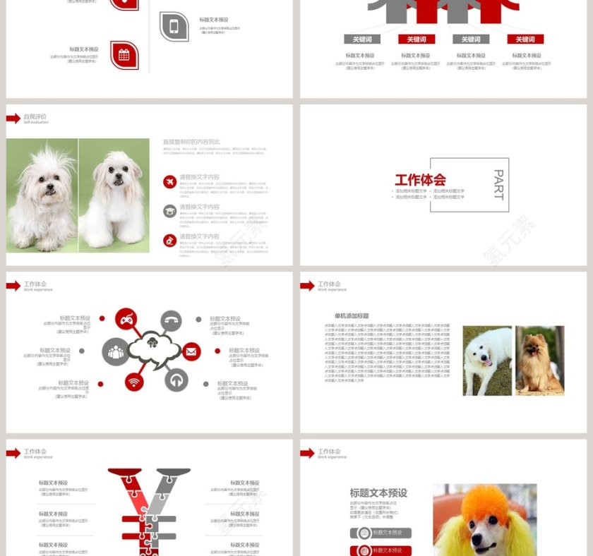 2019宠物诊所PPT模版第3张