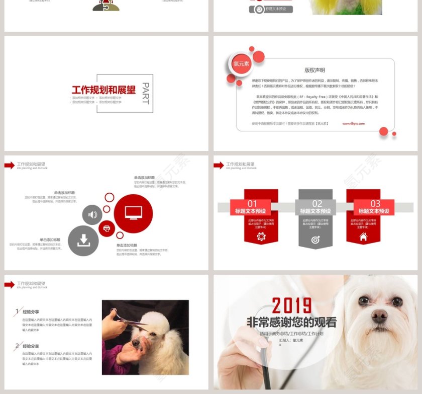 2019宠物诊所PPT模版第4张