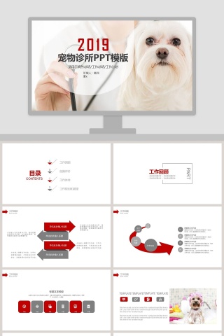 2019宠物诊所PPT模版