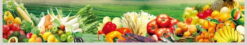 农业蔬菜水果PPT第6张