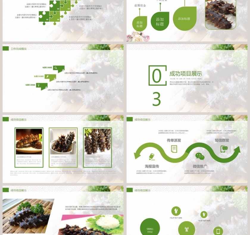 精品海参动态PPT模板第3张