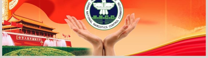 国家禁毒委员会政府工作PPT模板第8张
