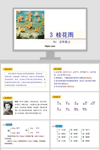 课文解析五年级语文上册桂花雨语文课件PPT