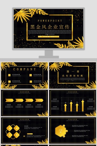 黑金凤企业宣传PPT模板