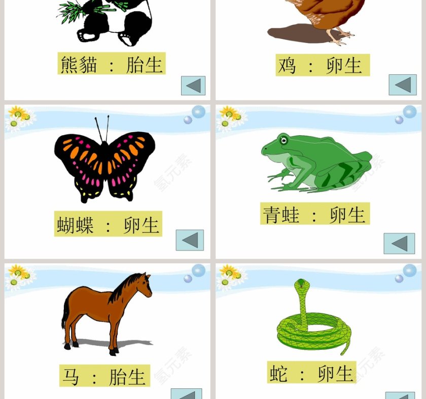 翩翩雌与雄教学ppt课件第5张