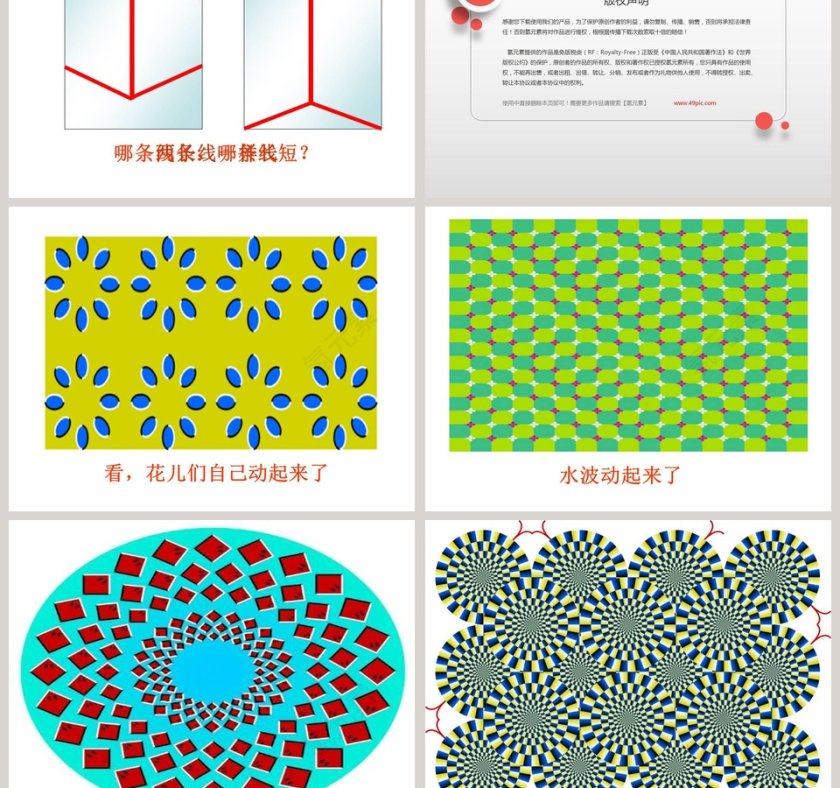 湘教版义务教育课程标准实验教科书三年级下册-光线与视觉教学ppt课件第5张