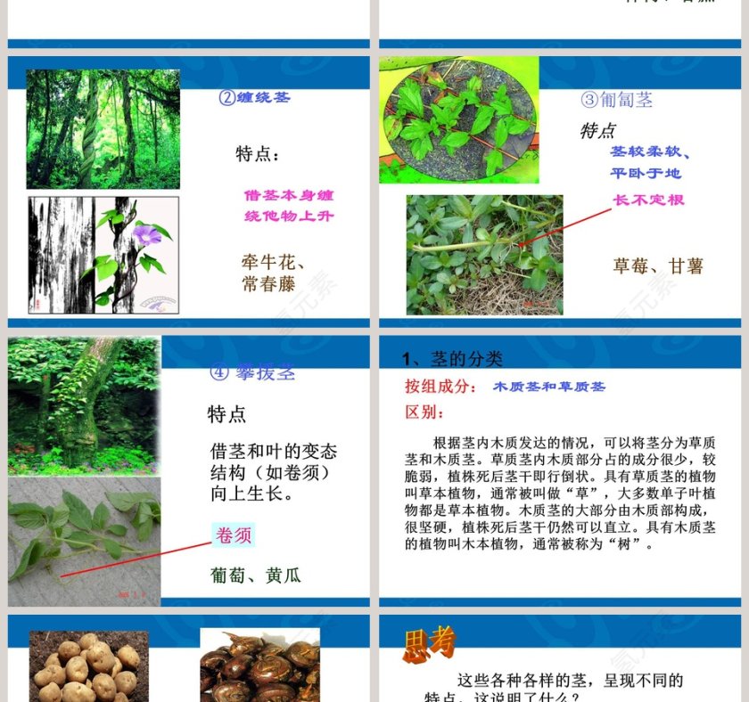 第-4教学ppt课件第2张