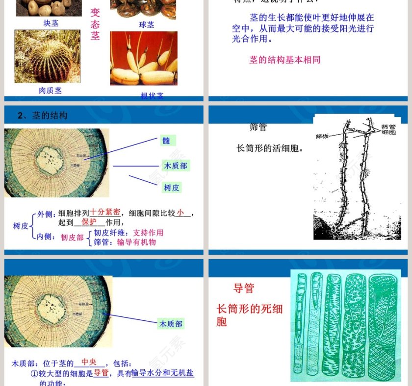 第-4教学ppt课件第3张