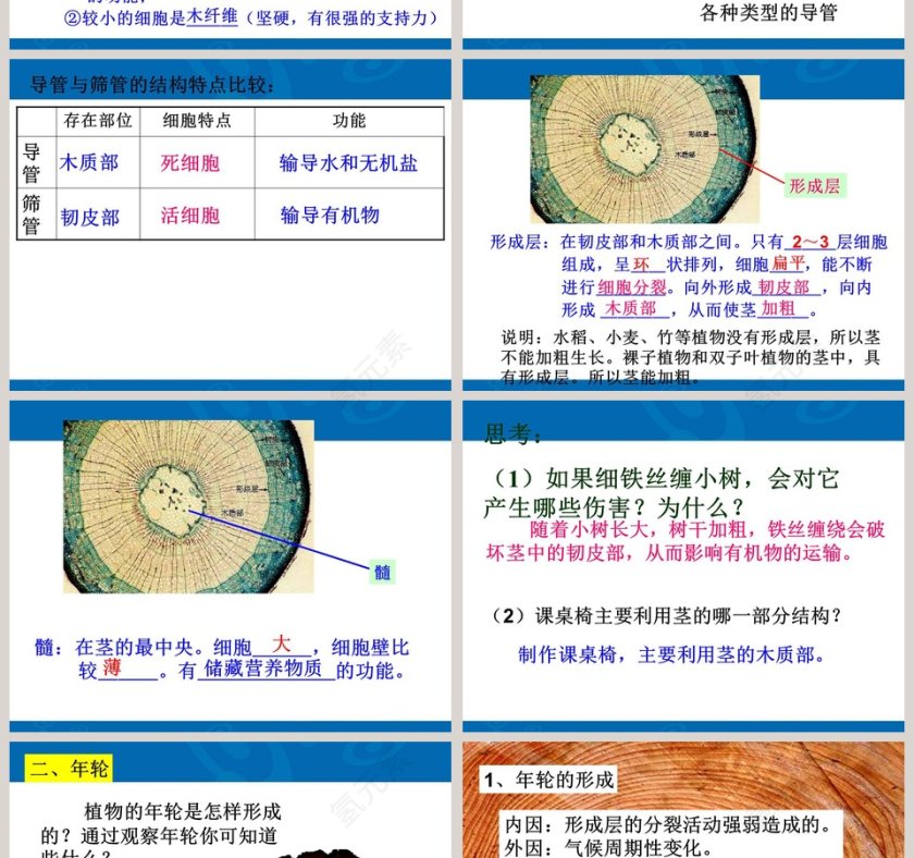 第-4教学ppt课件第4张