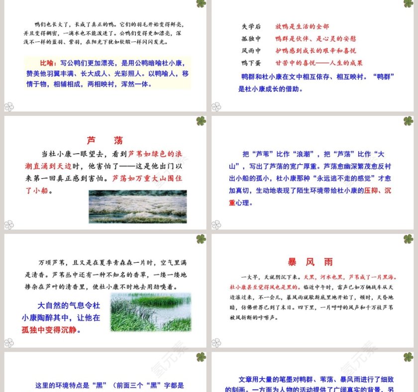 课文解析孤独之旅语文课件PPT第5张