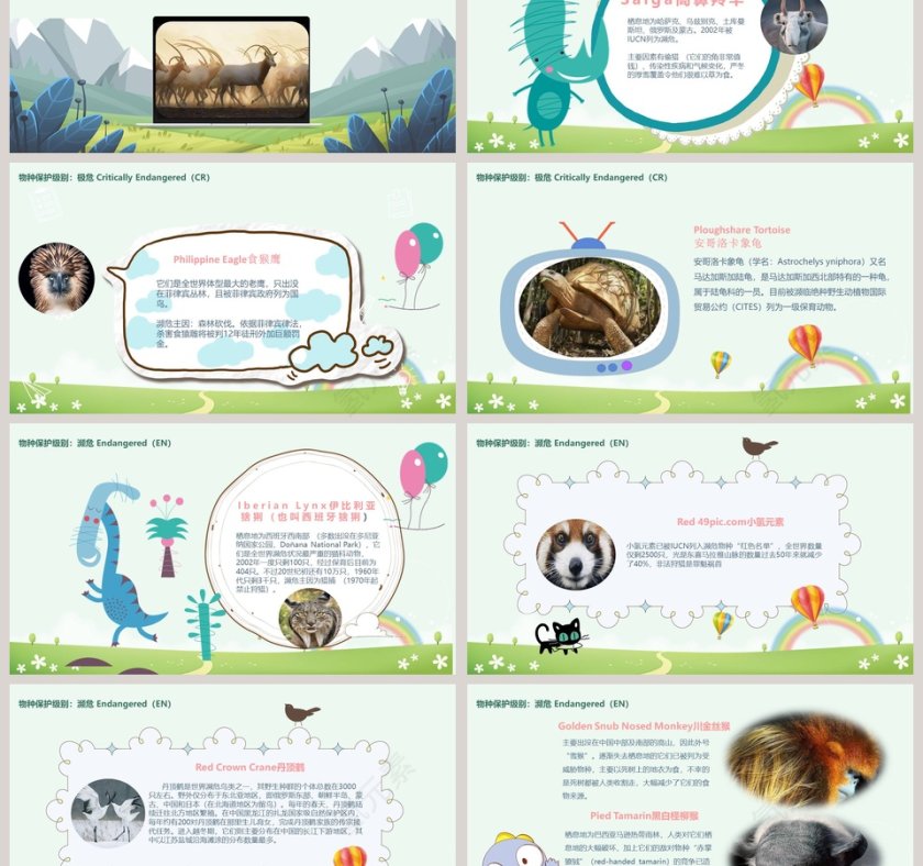 爱护动物从我做起世界动物日PPT模板第3张