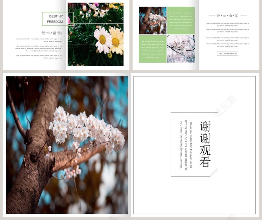 简约清新经年留影宣传策划PPT模板第5张