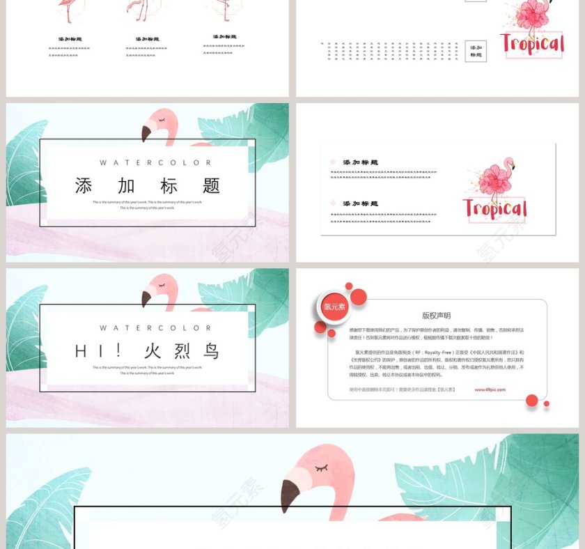 火烈鸟主题PPT第3张