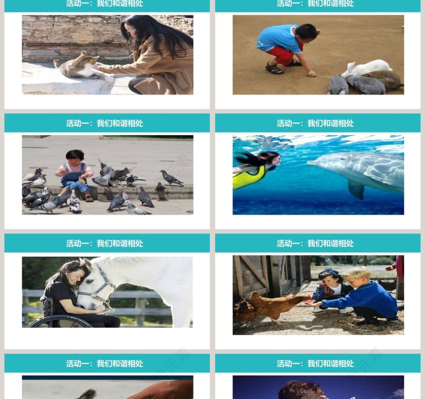 可爱的动物-教学ppt课件第2张