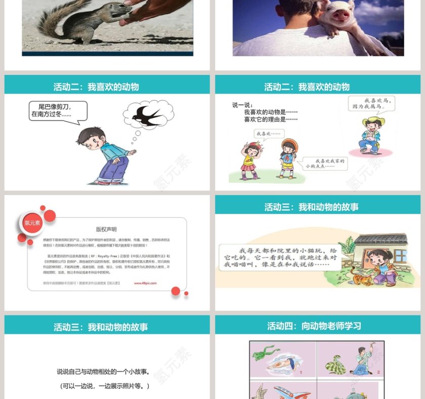 可爱的动物-教学ppt课件第3张