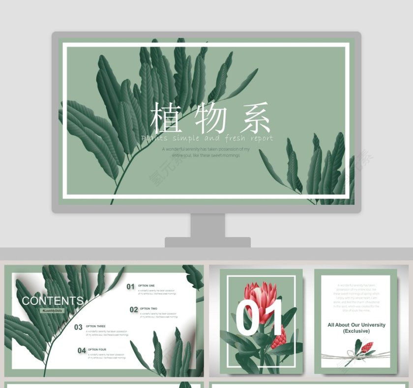 植物系文艺范工作总结PPT 第1张