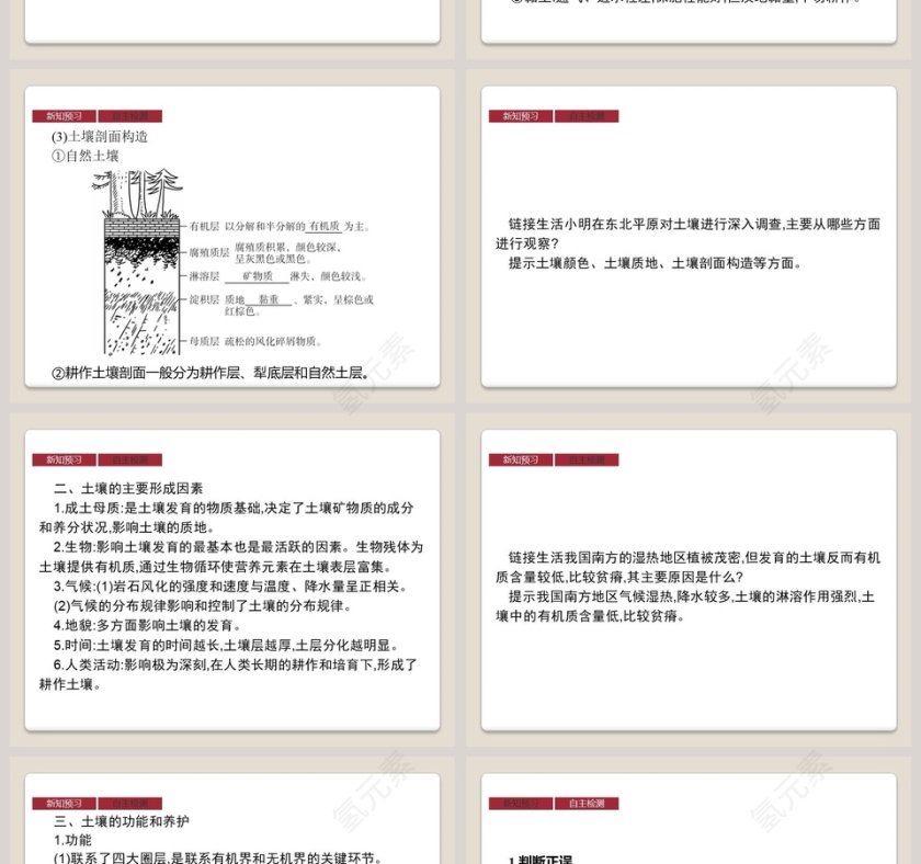 第二节 土壤教学ppt课件第2张