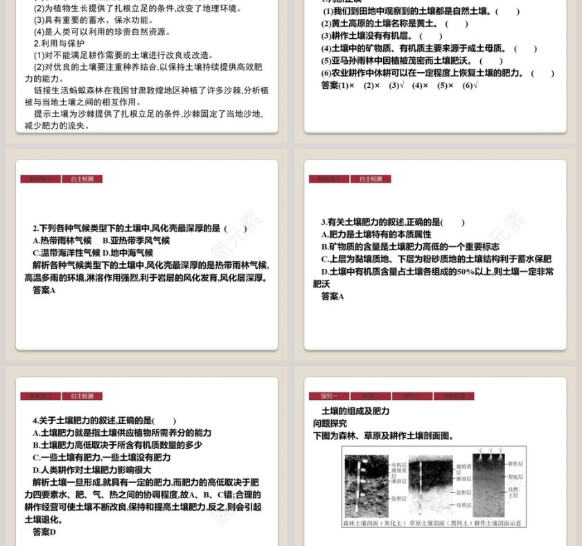 第二节 土壤教学ppt课件第3张