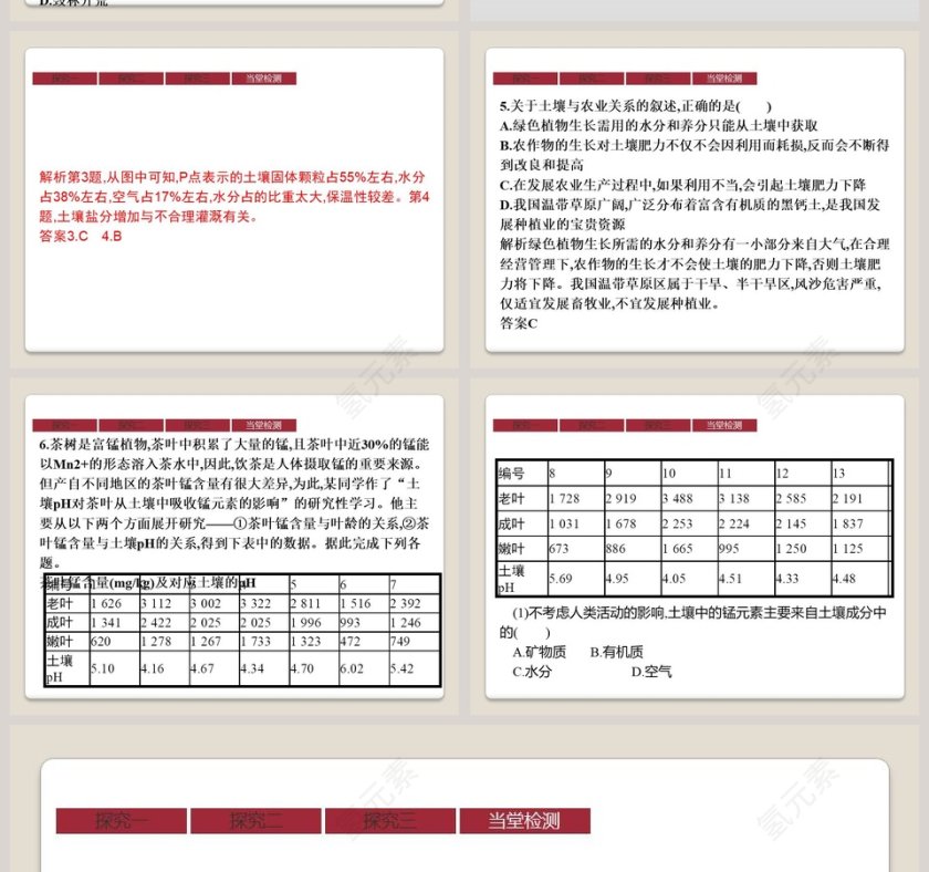 第二节 土壤教学ppt课件第10张