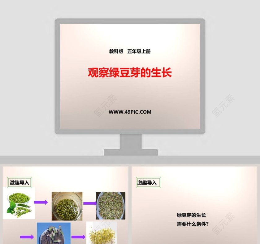 教科版五年级上册教育培训PPT模板第1张