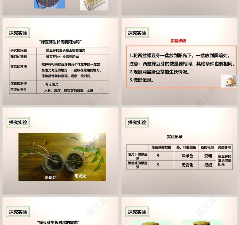 教科版五年级上册教育培训PPT模板第2张