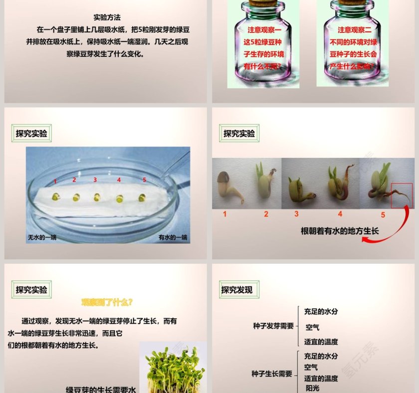 教科版五年级上册教育培训PPT模板第3张