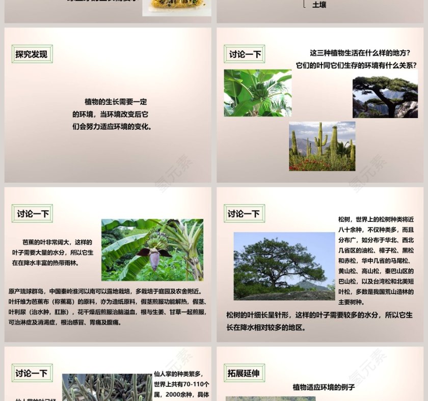 教科版五年级上册教育培训PPT模板第4张