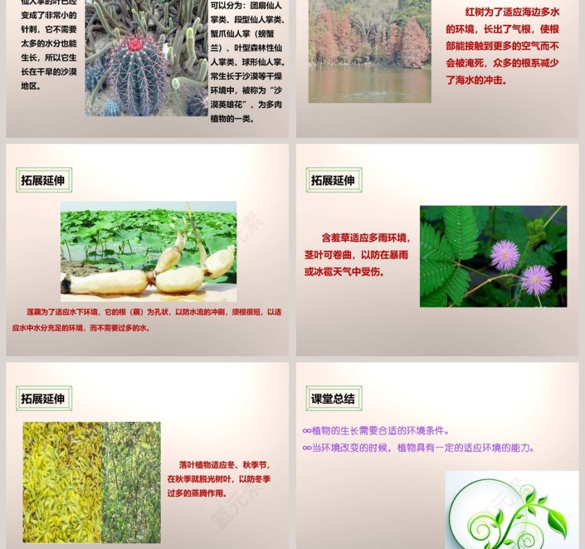 教科版五年级上册教育培训PPT模板第5张